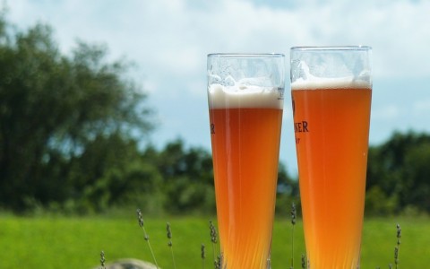 Brew Festival